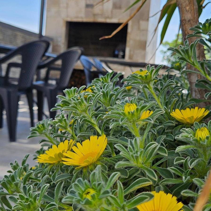 Villa Silver Starigrad Paklenica Exteriör bild